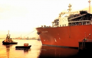RWE Sells 50 Pct Stake in Excelerate Energy