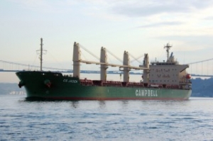 Tanker and Bulk Carrier Collide off Bosphorus