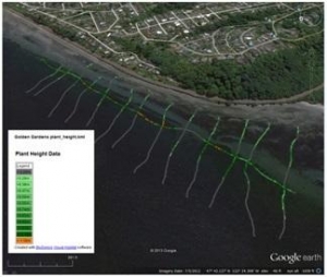 BioSonics Releases New Subsea Data Software