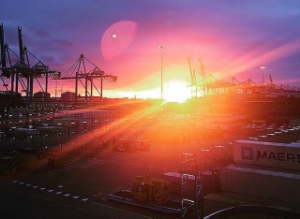 Global Terminal Operators Launch Go Green Initiative