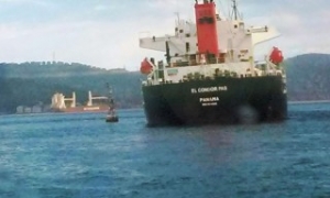 Bulker Runs Aground in Bosphorus