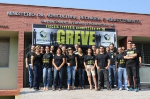 Brazil Strike Affecting Meat and Grain Exports