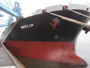 Diana Fixes Capesize Newbuilding and Panamax