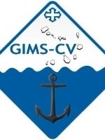 GIMS-CV