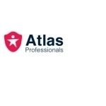 Atlas Professionals India Pvt Ltd.