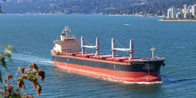 Bulker ship