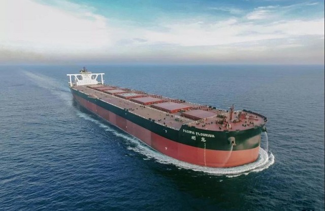 Bulk Carrier