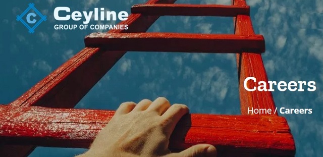 Work With Ceyline Group