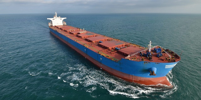 dry bulk carrier