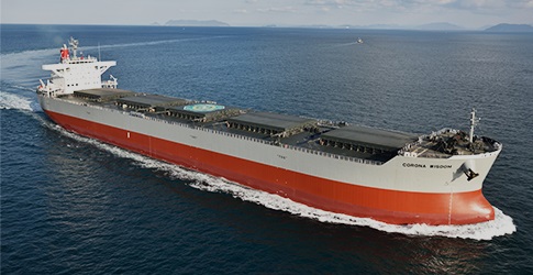 type bulk carrier