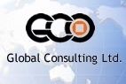 Global Consulting Ltd.