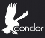 Condor Concept Consulting