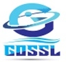 Global Ocean Shipping Services Ltd